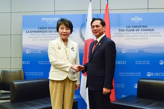 Nhật Bản hỗ trợ đào tạo nghề và phát triển nguồn nhân lực cho Việt Nam- Ảnh 1.