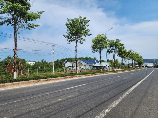 Công ty Cây Xanh Công Minh từng trúng nhiều gói thầu khủng ở Phú Quốc- Ảnh 1.