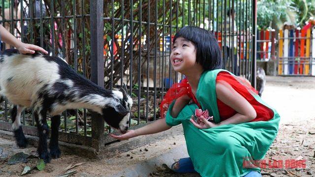 Ngày Quốc tế Thiếu nhi: Đầm Sen, Thảo Cầm Viên đông nghẹt trẻ- Ảnh 10.