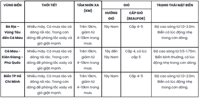 TP HCM và Nam Bộ chiều 10-6 xuất hiện mưa rào và dông rải rác- Ảnh 2.