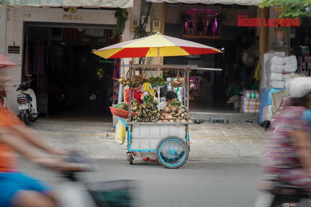 Chen chúc mua trái cây, bánh ú, thịt quay... cúng Tết Đoan Ngọ- Ảnh 10.