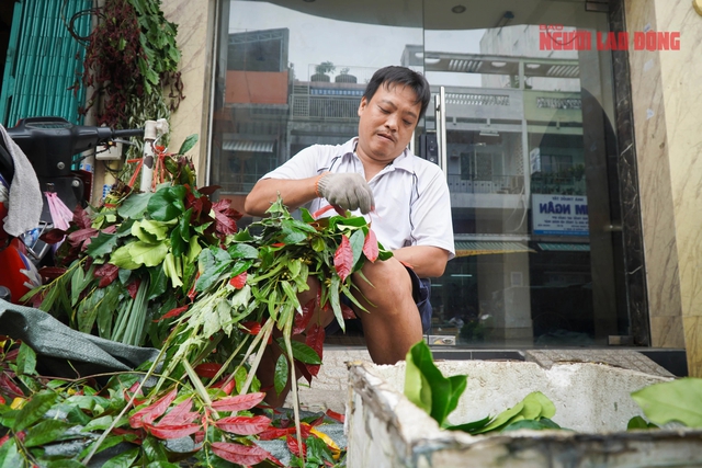 Chen chúc mua trái cây, bánh ú, thịt quay... cúng Tết Đoan Ngọ- Ảnh 15.