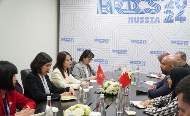 Đại diện Việt Nam nêu 3 đề xuất tại đối thoại BRICS- Ảnh 2.