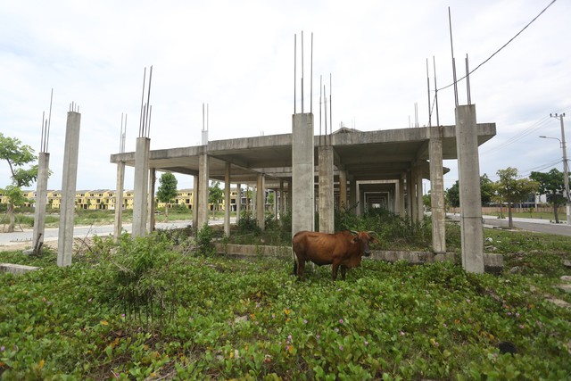 Quảng Nam báo cáo về 