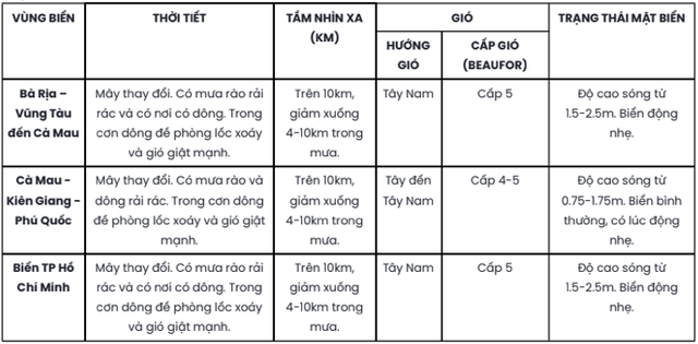 Thời tiết TP HCM và Nam Bộ ngày 19-6: Ngày nắng, chiều tối có mưa to- Ảnh 3.