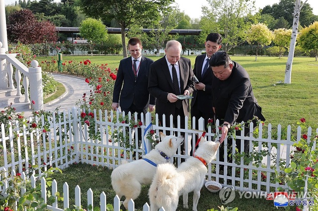 Nhà lãnh đạo Triều Tiên Kim Jong-un giới thiệu giống chó Pungsan với Tổng thống Nga Vladimir Putin khi đi dạo trong vườn của Nhà khách Kumsusan ở Bình Nhưỡng ngày 19-6. Ảnh: Yonhap