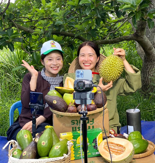 Hana Ban Mê và Chúc Anh thực hiện livestream tại vườn bơ Mã Dưỡng ở Bình Phước, tạo cảm giác &quot;người thật việc thật&quot; để người dùng yên tâm mua trái cây qua sóng Shopee Live