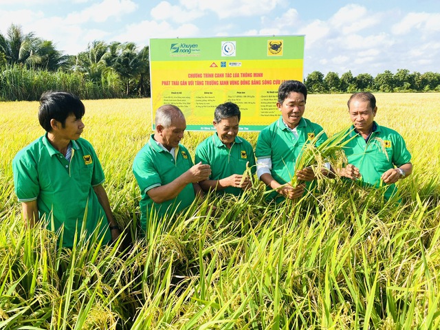 Trong tương lai, sản phẩm lúa gạo canh tác giảm phát thải sẽ giúp nông dân ĐBSCL tăng thu nhậpẢnh: Ngọc Trinh