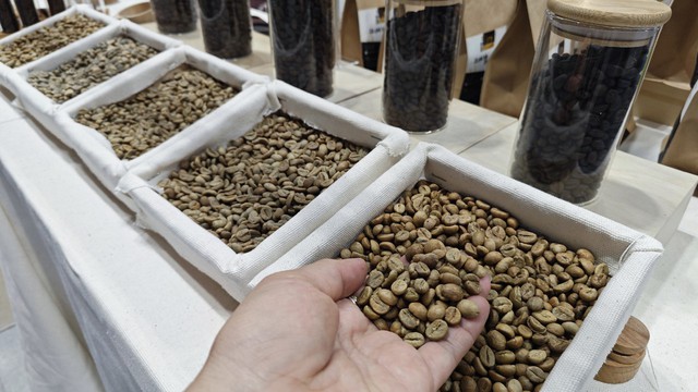 Sốc với giá cà phê Robusta - Ảnh 1.