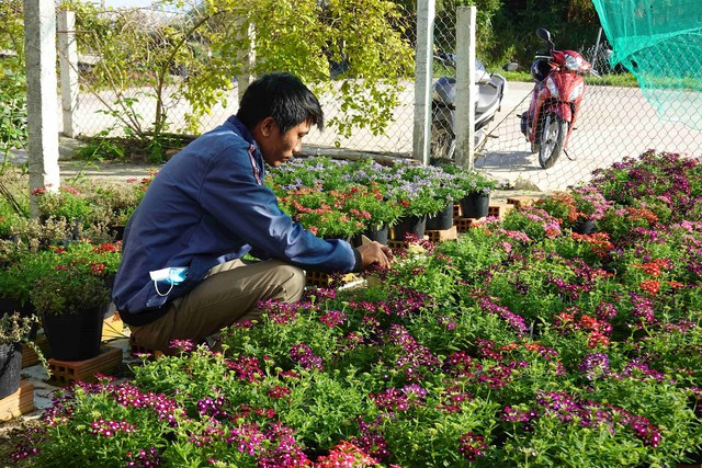 Giàu lên, đẹp hơn nhờ hoa- Ảnh 2.