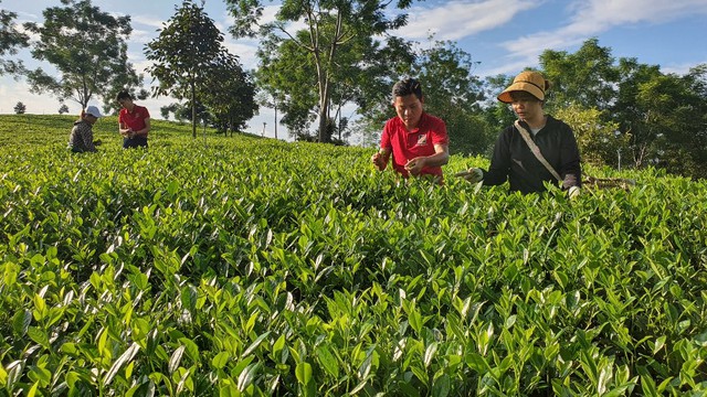 Ưu tiên gieo vốn tam nông, đồng lòng phát triển bền vững cùng đất nước- Ảnh 2.