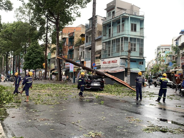 TP HCM: Nhiều cây xanh bật gốc, ô tô gặp nạn trên đường Ngô Gia Tự 
- Ảnh 3.