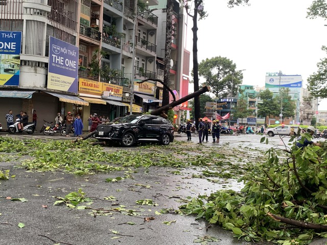 TP HCM: Nhiều cây xanh bật gốc, ô tô gặp nạn trên đường Ngô Gia Tự 
- Ảnh 1.