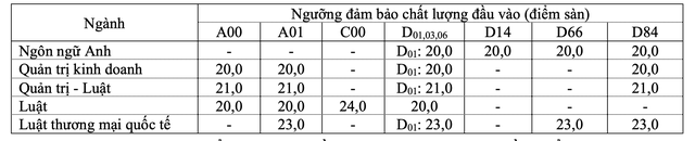 Thêm nhiều trường ĐH tại TP HCM công bố điểm sàn- Ảnh 9.