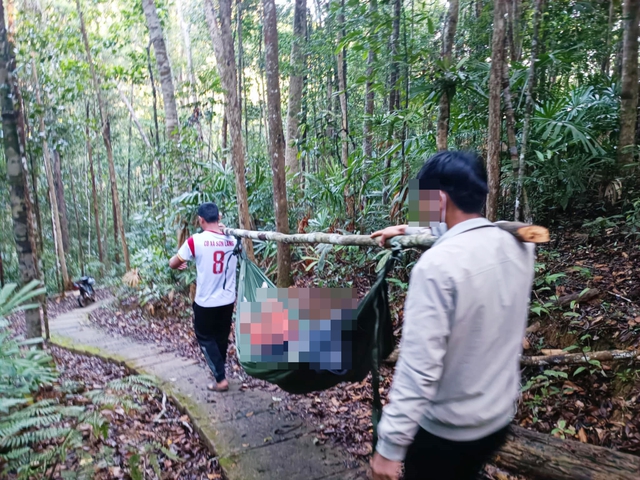 Cây rừng đổ, nữ du khách chết khi tham quan thác K50- Ảnh 1.