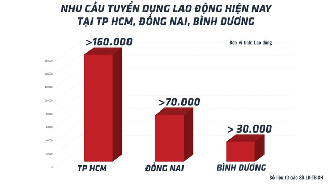 Cơ hội việc làm không thiếu- Ảnh 2.