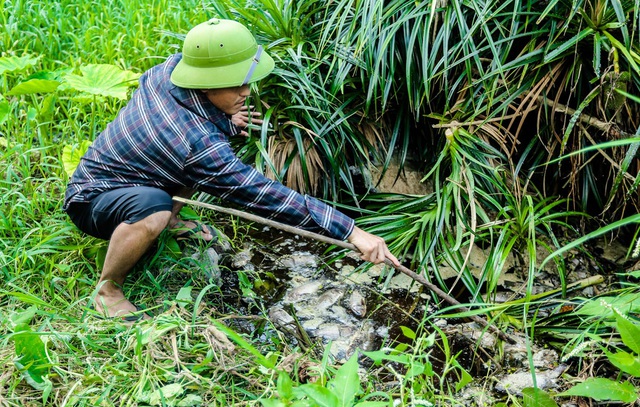 Vụ nước suối đen ngòm cạnh trại heo: Phạt 120 triệu đồng- Ảnh 3.