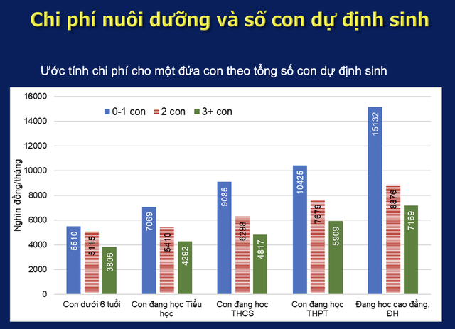 Lý do khiến người Việt chậm cưới, ngại sinh con- Ảnh 3.