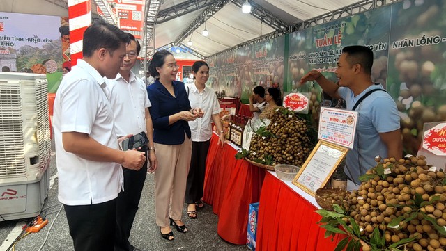 Giá nhãn lồng Hưng Yên cao gấp rưỡi- Ảnh 1. Giá nhãn lồng Hưng Yên cao gấp rưỡi- Ảnh 1.