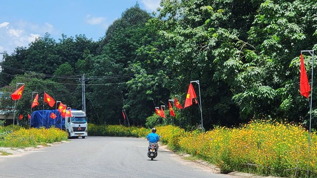 Cờ Tổ quốc tung bay trên đường hoa vàng rực rỡ ở Bình Dương- Ảnh 9.