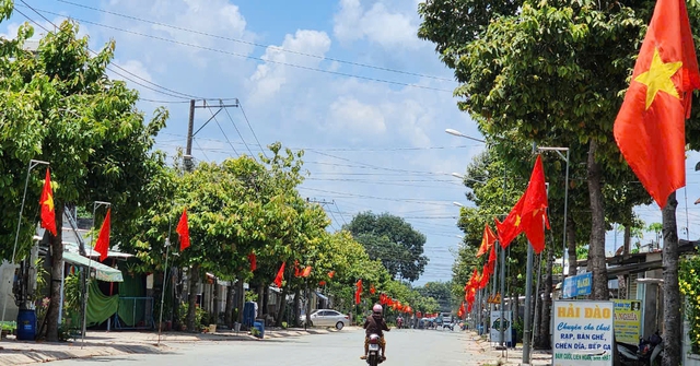 Cờ Tổ quốc tung bay trên đường hoa vàng rực rỡ ở Bình Dương- Ảnh 10.