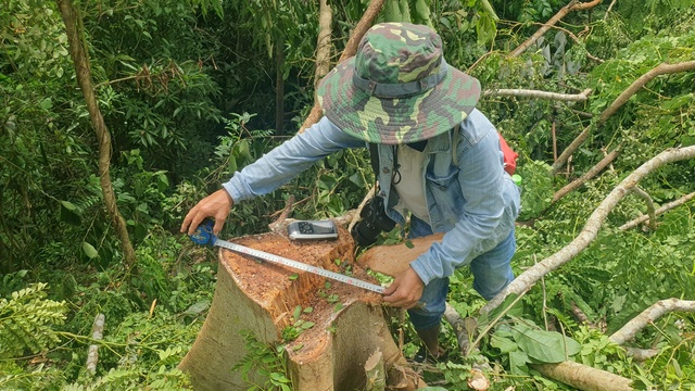 Tỉnh Quảng Trị chỉ đạo "nóng" sau loạt điều tra của Báo Người Lao Động- Ảnh 1.