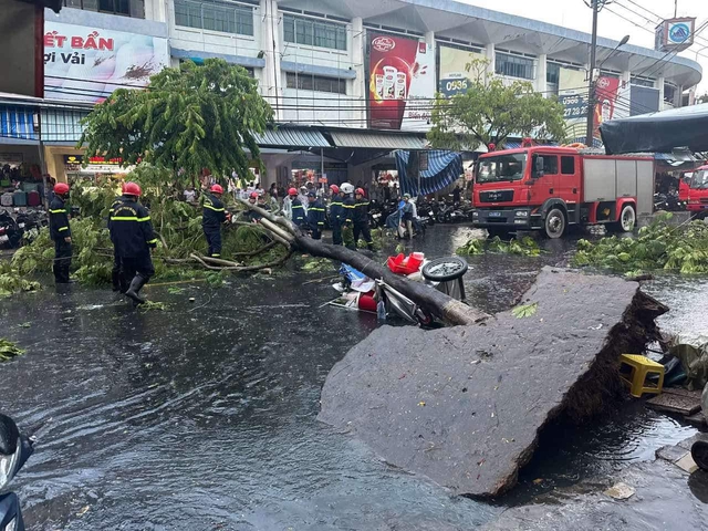 Đà Nẵng: Cây lớn bật gốc trong mưa dông, 1 phụ nữ bị thương- Ảnh 1.