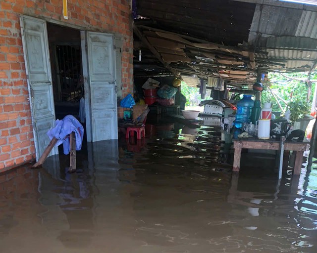 Do đâu hàng trăm hecta thanh long Bình Thuận bị ngập chỉ sau vài cơn mưa?- Ảnh 1.