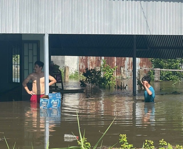 Do đâu hàng trăm hecta thanh long Bình Thuận bị ngập chỉ sau vài cơn mưa?- Ảnh 2.