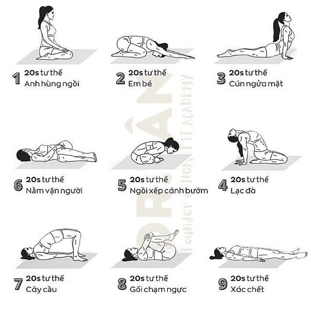 Rèn luyện sức khỏe với yoga - Ảnh 4.