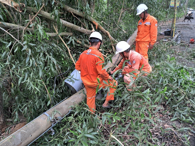 Ngành điện miền Nam: Cảnh báo nguy cơ mất an toàn điện mùa mưa bão- Ảnh 6.