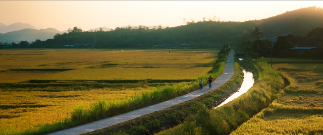 Phú Yên nên thơ trong phim chuyển thể truyện Nguyễn Nhật Ánh- Ảnh 10.