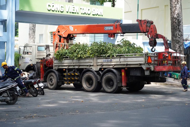 Vụ gãy nhánh cây khiến 5 người thương vong: "Nếu chẳng may, tôi đã là nạn nhân"- Ảnh 4.