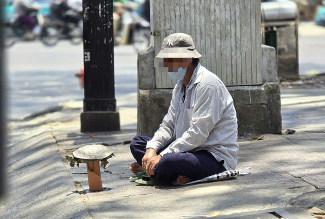 Mua bán rùa ở đường phố để phóng sanh, coi chừng lãnh án tù- Ảnh 1.