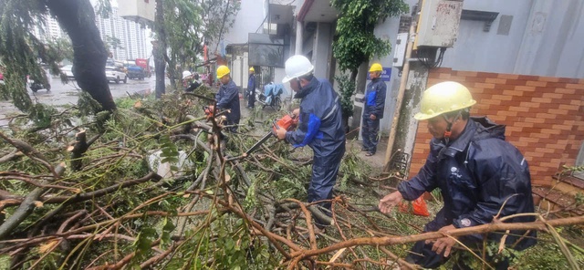 Dầm mình trong mưa hỗ trợ Hải Phòng dọn dẹp cây xanh gãy đổ la liệt sau bão số 3- Ảnh 1.