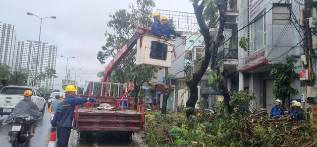 Dầm mình trong mưa hỗ trợ Hải Phòng dọn dẹp cây xanh gãy đổ la liệt sau bão số 3- Ảnh 3.