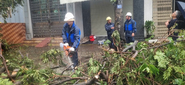 Dầm mình trong mưa hỗ trợ Hải Phòng dọn dẹp cây xanh gãy đổ la liệt sau bão số 3- Ảnh 5.