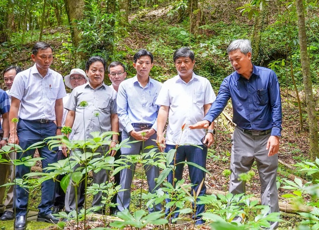 Quảng Nam muốn có trung tâm công nghiệp dược liệu- Ảnh 1.