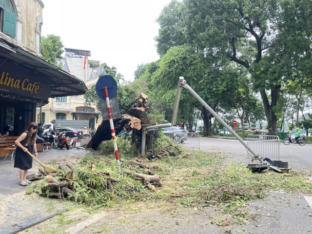 VIDEO: Đà Nẵng hỗ trợ Hà Nội xử lý cây xanh gãy đổ sau bão số 3- Ảnh 25.