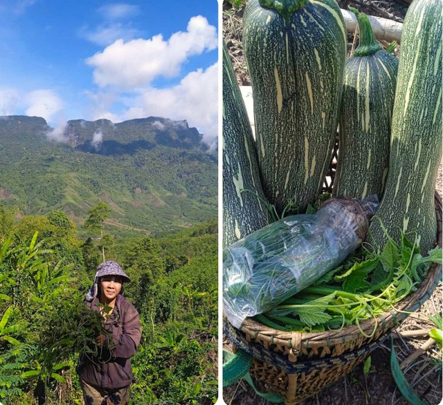 Xúc động hành động của người nghèo, người tàn tật ở Quảng Trị hướng về đồng bào miền Bắc- Ảnh 1.