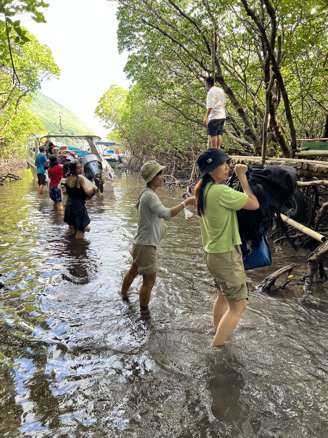 Những "chiến binh" bảo vệ rùa biển- Ảnh 4.