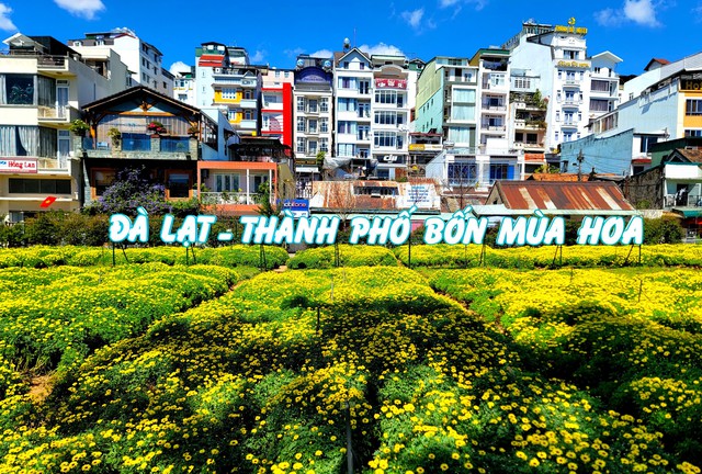 Festival hoa Đà Lạt năm nay sẽ có nhiều điểm mới - Ảnh 1.