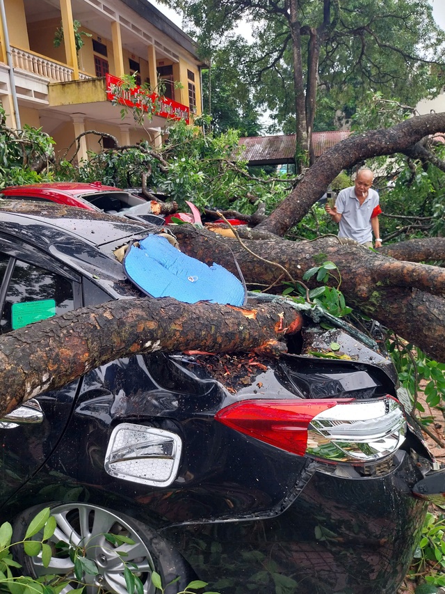 Sức khỏe nữ giáo viên bị cành cây gãy rơi trúng người khi đi dưới sân trường- Ảnh 2.