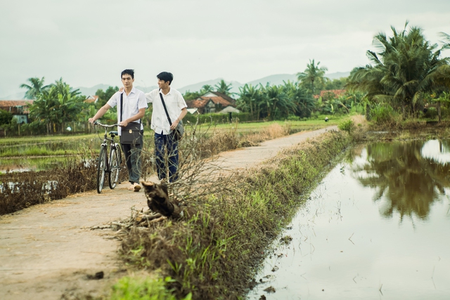 Trồng 3.600 cây bắp cho phim chuyển thể truyện Nguyễn Nhật Ánh- Ảnh 5.