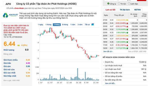 Điều gì đang xảy ra tại An Phát Holdings?- Ảnh 1.