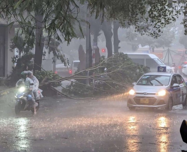 Hà Nội dông lớn và mưa to, cây đổ la liệt trước khi siêu bão Yagi đổ bộ- Ảnh 4.