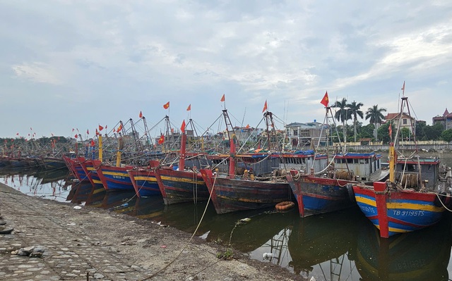 VIDEO: Bộ trưởng Lê Minh Hoan thị sát công tác phòng chống siêu bão Yagi tại Nam Định, Thái Bình- Ảnh 4.