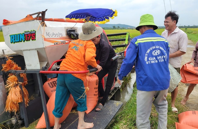 Nông dân gặt lúa xuyên đêm chạy siêu bão Yagi- Ảnh 8.