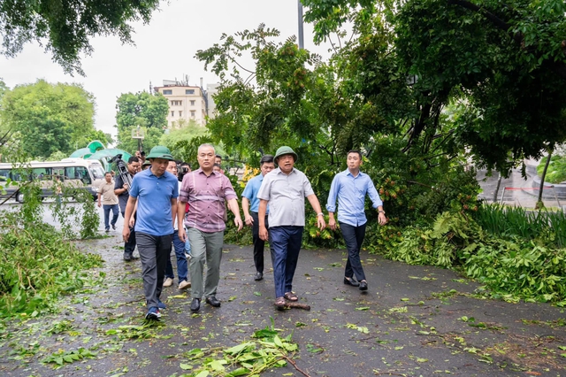 Hơn 14.200 cây xanh ở Hà Nội đổ do bão số 3, nhiều cổ thụ hàng trăm tuổi- Ảnh 1.