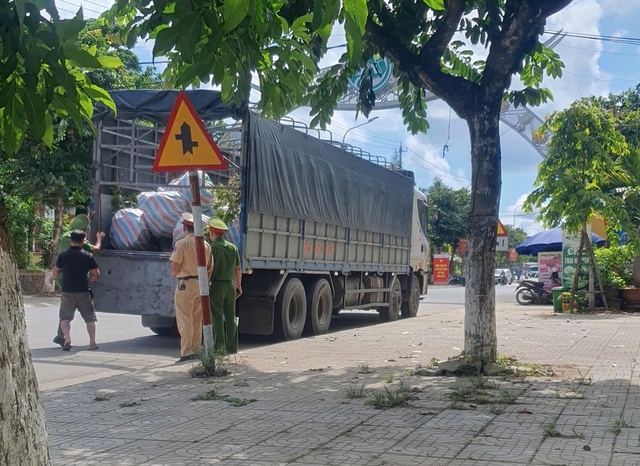 Bí mật sau những chuyến xe chở cây rừng: Vì sao công an chưa tiếp nhận hồ sơ vụ việc?- Ảnh 1.